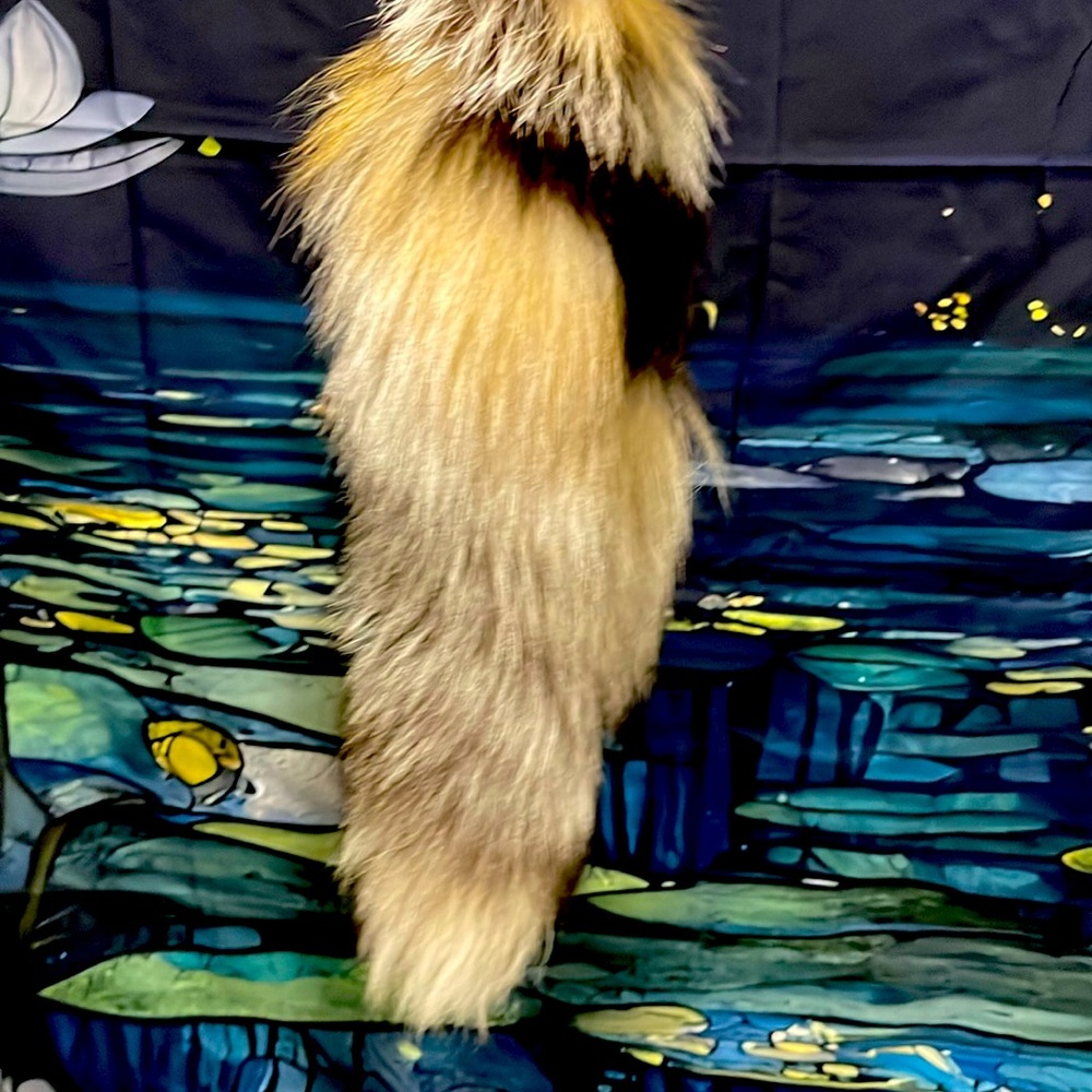 Therian tail
